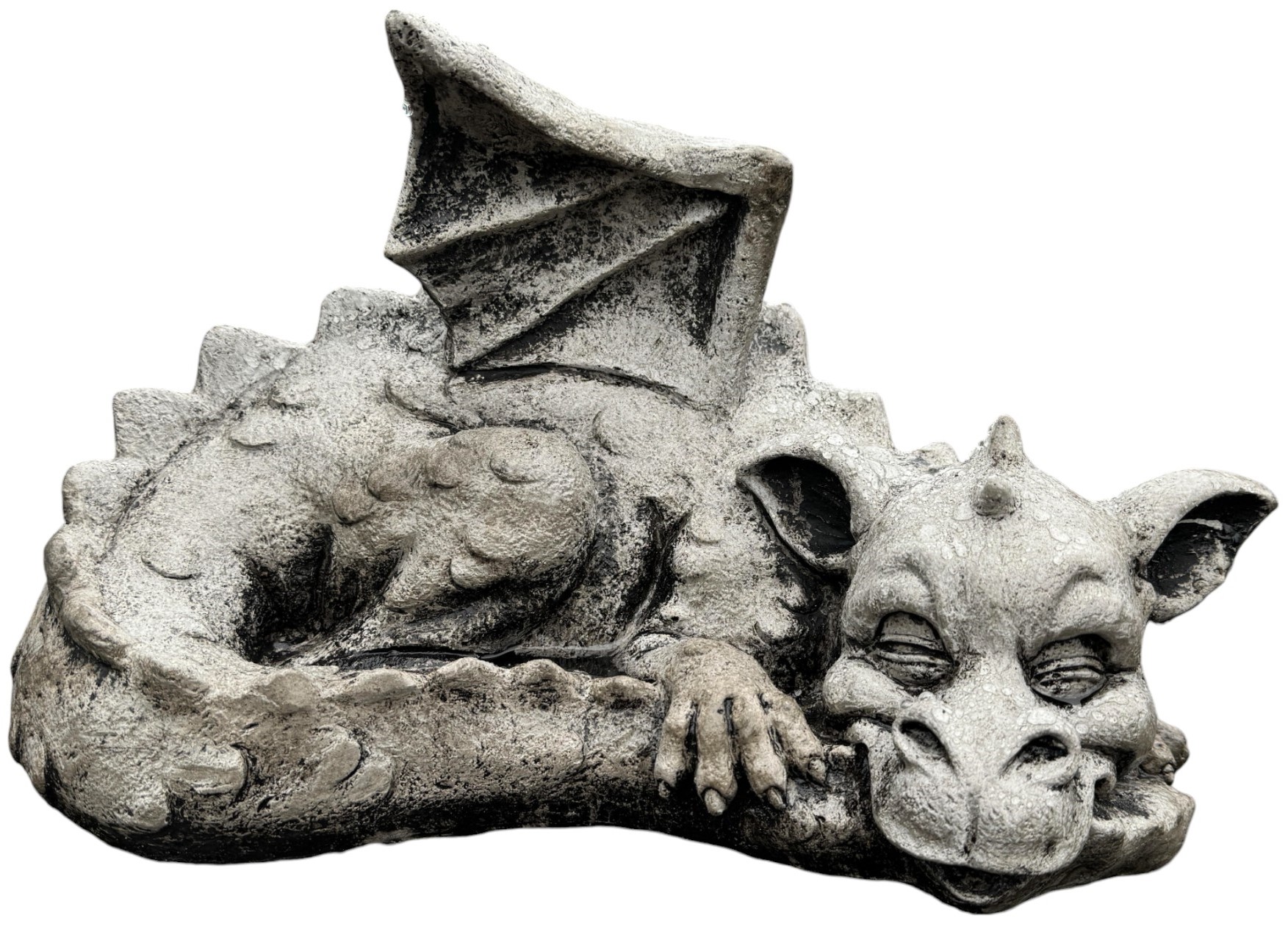 Harpers Statuary & Water Gardens - Medium Curled Dragon