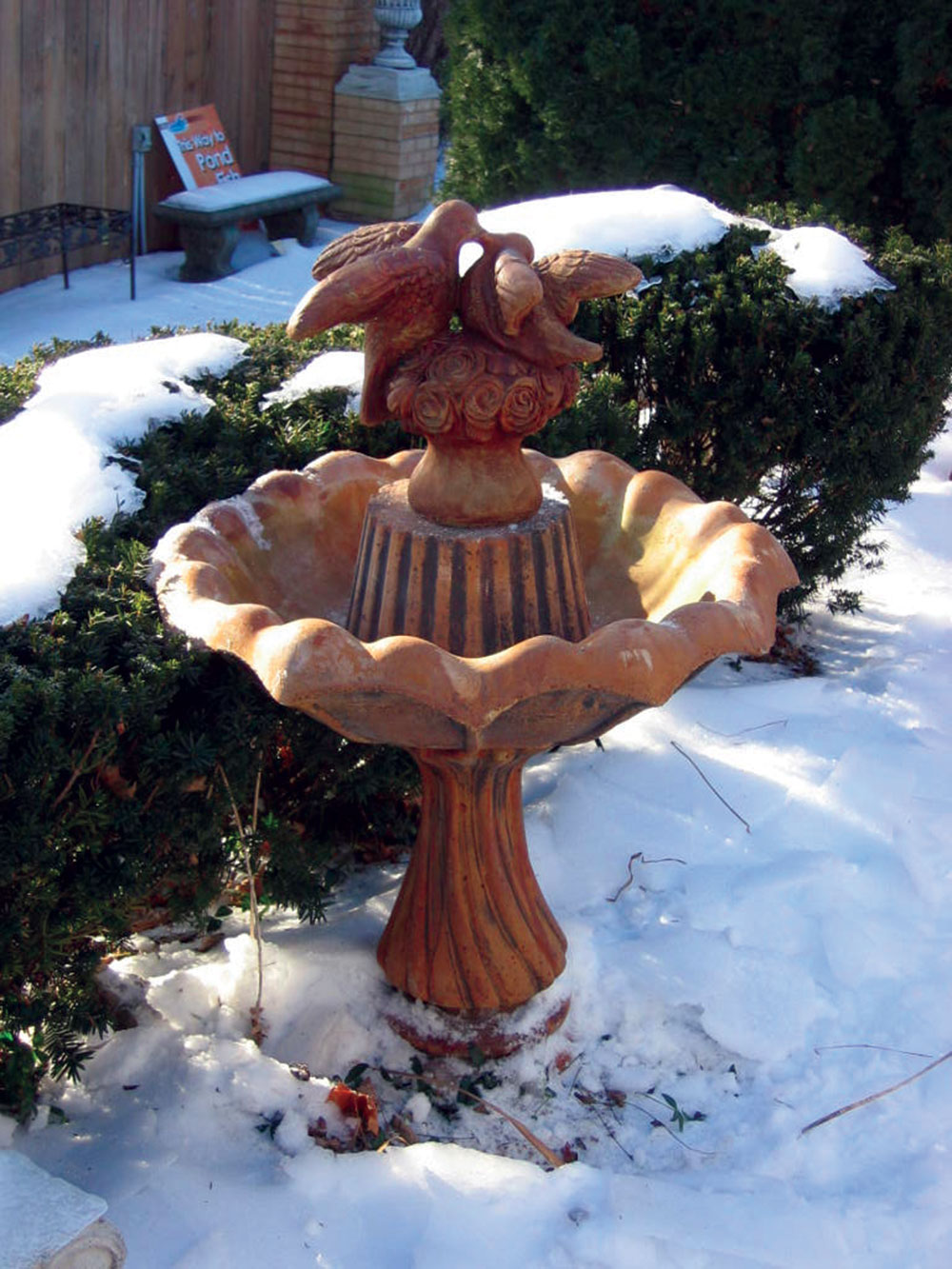 Harper's Statuary & Water Gardens Lovebird Tulip